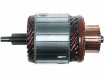 Ротор стартера