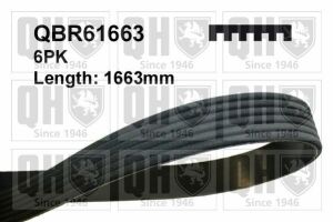 Ремiнь клиновий 6PK#1663