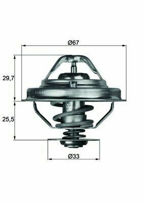 Термостат BMW 3 (E36)/5 (E34/E39)/7 (E38)/Opel Omega 2.5TD 91-03