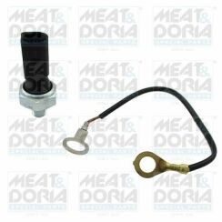 Датчик тиску масла Audi A3/A4, Skoda Octavia II, Volkswagen Golf V, Volkswagen Passat, Volkswagen Touran Датчик тиску масла Audi A3/A4, Skoda Octavia II, Volkswagen Golf V, Volkswagen Passat, Volkswagen Touran