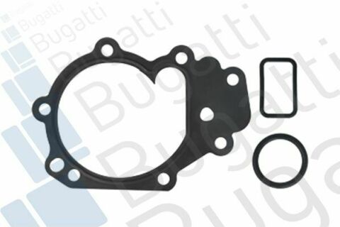 Помпа води Renault Clio II/III/IV/Logan II 1.2/1.2 16V 00-/Dacia Sandero 1.2 08-