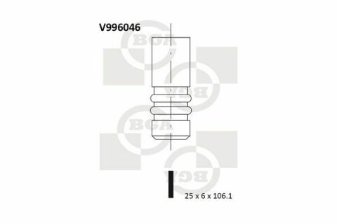 Клапан выпуск. 2.0HDi/JTD Scudo 99-07/Expert 00- (25x6x106.1)