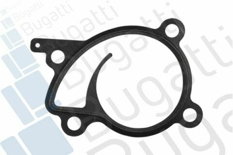 Помпа води Renault Clio/Scenic/Megane/Kangoo/Nissan Qashqai/Juke 0.9-1.2-1.4TCe/1.6Sce 09-