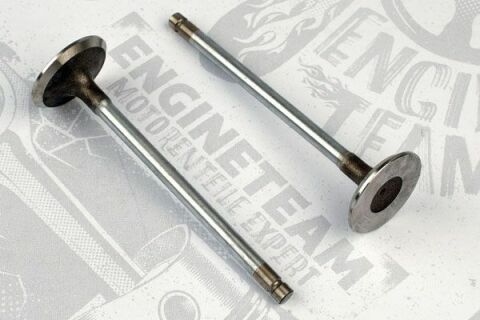 Впускний клапан