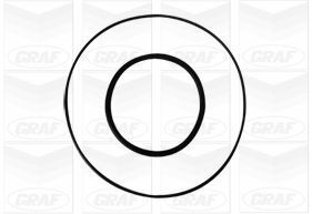 Помпа води Chrysler Voyager IV/ Grand Voyager 2.5-2.8 CRD 00-08 (22z) (R/B) (7 лоп)