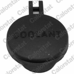 Кришка розширювального бачка Honda Civic VII Hatchback 1.4 i 2001–2005, Stream (RN) 2.0 16V (RN3) 2001–2006 Кришка розширювального бачка Honda Civic VII Hatchback 1.4 i 2001–2005, Stream (RN) 2.0 16V (RN3) 2001–2006