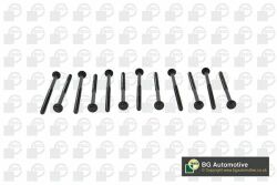 Болты головки блока Volvo C30/C70/S40/S60/S80 07- (12шт.) Болты головки блока Volvo C30/C70/S40/S60/S80 07- (12шт.)