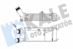 Інтеркулер Citroen Berlingo 2008–, Partner 1.6 HDI 2005– Інтеркулер Citroen Berlingo 2008–, Partner 1.6 HDI 2005–