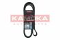 Клиновый ремень 7PK1666 BMW X5 06-13/Nissan Navara 14-/Opel Movano B 10-, фото 1 - интернет-магазин Auto-Mechanic