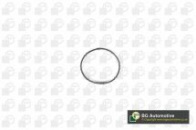 Прокладка коллектора впуск Astra/Meriva 1.7 09- (дв. A17DTJ)