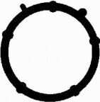 Прокладка колектора впуск Doblo 1.9D (48x45mm) 01-