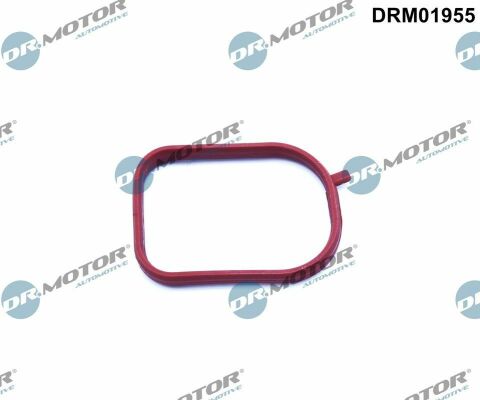 Прокладка термостата Прокладка термостата