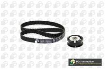 Роликовый модуль натяжителя ремня (ролик, ремень) Роликовый модуль натяжителя ремня (ролик, ремень)