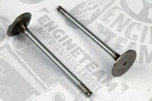 Впускний клапан Впускний клапан