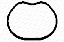 Прокладка,  впускний  колектор