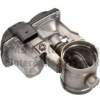 Дроссельный занавес