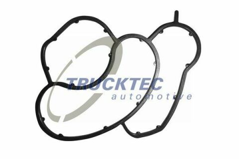 Прокладка корпуса фільтра масляного BMW X3 (E83) 2.0i 05-11