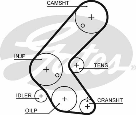 5679XS (8597-15679)  Ремінь ГРМ GATES XS