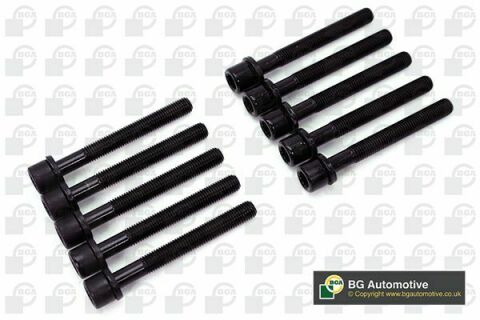 Болты головки блока Caddy II/Audi 80/100/A6/A4/Golf IV/Passat/Polo 1.0-2.0i -02 (к-кт)