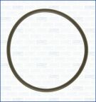 Ущільнення, впускний колектор Ущільнення, впускний колектор