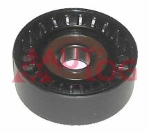 Ролик ременя генератора (направ.) Transit 2.4DI/TDCi 00-