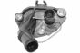 Фланец системы охлаждения Kangoo 1.5dCi 05-, фото 1 - интернет-магазин Auto-Mechanic