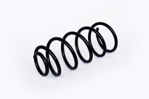 Пружина передня Golf IV,Bora,Skoda Octavia I,Seat Leon 98- VW