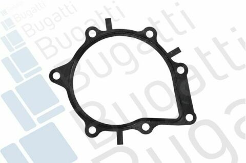 Помпа води Citroen C4-C8/Jumper/Peugeot 308/407/Ford Focus 2.0-2.2HDi/D/TDCi 06- (B/B)(8 лоп)