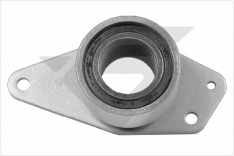 Ролик ГРМ Renault Kangoo 1.9dCi 01- (паразитний) (65х30.8)