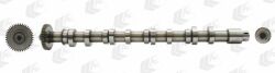 Распределительный вал VW Caddy III/IV/ T5/T6/ Crafter 30-50 2.0 TDI 10- (сторона выпуска) Распределительный вал VW Caddy III/IV/ T5/T6/ Crafter 30-50 2.0 TDI 10- (сторона выпуска)