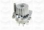 Помпа води Skoda Fabia/VW Polo/Seat Cordoba 1.9SDI 09- (19z) (R/B)(7 лоп)(h шківа=33.5mm/d імп=60mm), фото 7 - інтерент-магазин Auto-Mechanic
