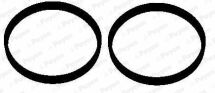 Комплект резиновых прокладок.