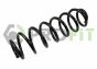 Пружины подвески, фото 1 - интернет-магазин Auto-Mechanic
