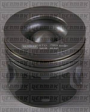 Поршень с кольцами і пальцем (размер отв. 89.91/std) (v347/8 tdci )