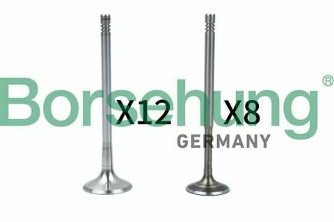 Клапан (впуск/випуск) Audi A4/A6/Skoda Octavia/Superb/VW Golf/Passat 1.8-3.0 -10 (к-кт) (OE VAG) Клапан (впуск/випуск) Audi A4/A6/Skoda Octavia/Superb/VW Golf/Passat 1.8-3.0 -10 (к-кт) (OE VAG)