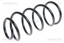 Ресора ходової частини