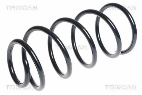 Ресора ходової частини Ресора ходової частини