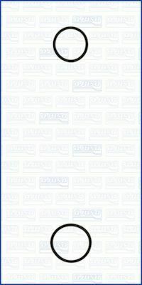 Комплект прокладок водяного насоса QASHQAI 1.5 07-, MICRA III 1.5 05-, SUZUKI, DACIA, RENAULT NISSAN