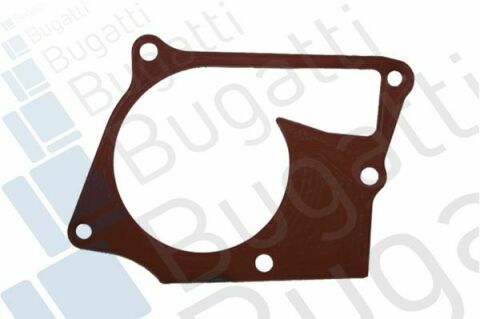 Помпа води Renault Kangoo/Clio/Duster/Laguna/Megane/Nissan Qashqai/Juke 1.5dCi 09-/MB (OM607/OM608)