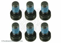 Комплектт гвинтів маховика (6шт) OPEL, FIAT, JEEP