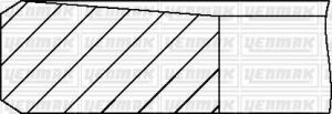 Комплект поршневых колец Movano 2.2DTI 00-, Master, Laguna 2,2dCi (87,50/+0,50) (3,0/1,75/2,5)