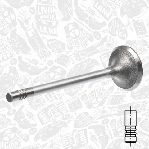 Впускной клапан