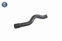 Шланг радиатора