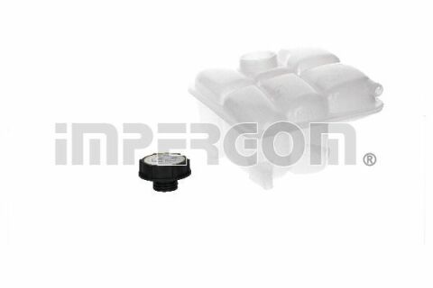 Бачок расширительный Ford Transit Connect 1.5/1.6 TDCi 13-(с крышкой)