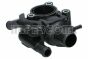 Корпус термостата Ford Transit Connect/Focus 1.8/2.0 16V 98-, фото 7 - інтерент-магазин Auto-Mechanic