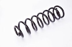 Пружина ззаду (d=10.5mm) Renault Megane II Пружина ззаду (d=10.5mm) Renault Megane II