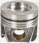 Поршень с кольцами і пальцем (размер отв. 81.01 / std) vw, audi, skoda (cuna-cuwa-cuna-cuna euro6 – crga-crgb euro4)