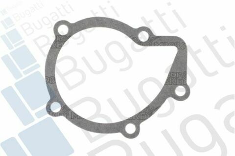 Помпа води Citroen C4/C5/C8/Jumpy/Berlingo 2.0HDi/Fiat Scudo/Ducato 1.9D/2.0JTD 98- (B/B)(7лоп)