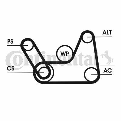 Ремень генератора Ford Fiesta/Focus 1.4/1.6i 16V 01-12 (6PK1019 ELAST+5PK690 ELAST)