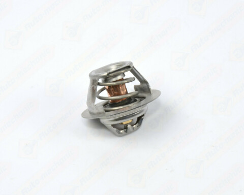 Термостат Duster/Logan/Clio/Kangoo/Megane I, II, III 1,4/1.6/2.0i 98- (88 C)